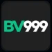 BV999 Game
